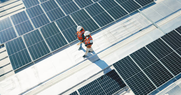 Best Roof Moss and Algae Removal  in Grandview, WA